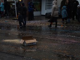 Allschwiler Fasnacht 26 - Andreas Lutz